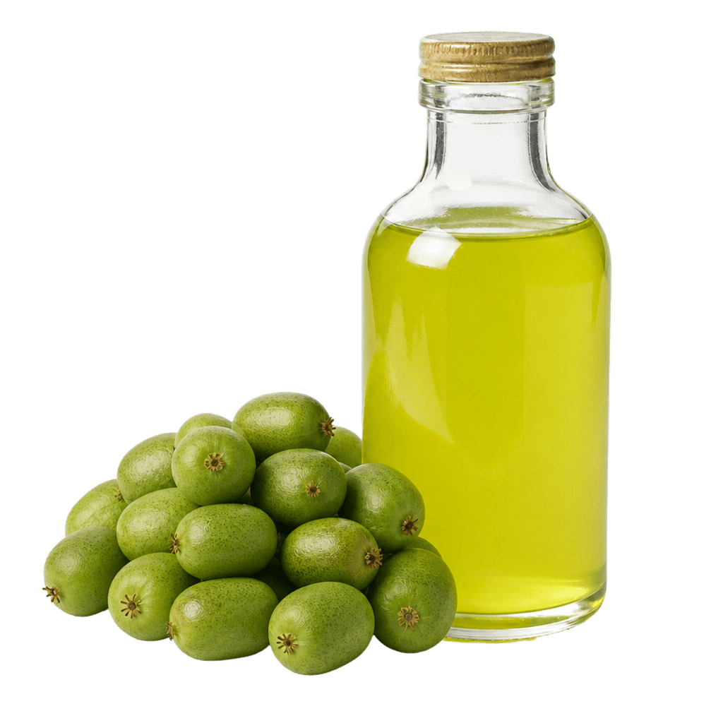 Сироп актинидии