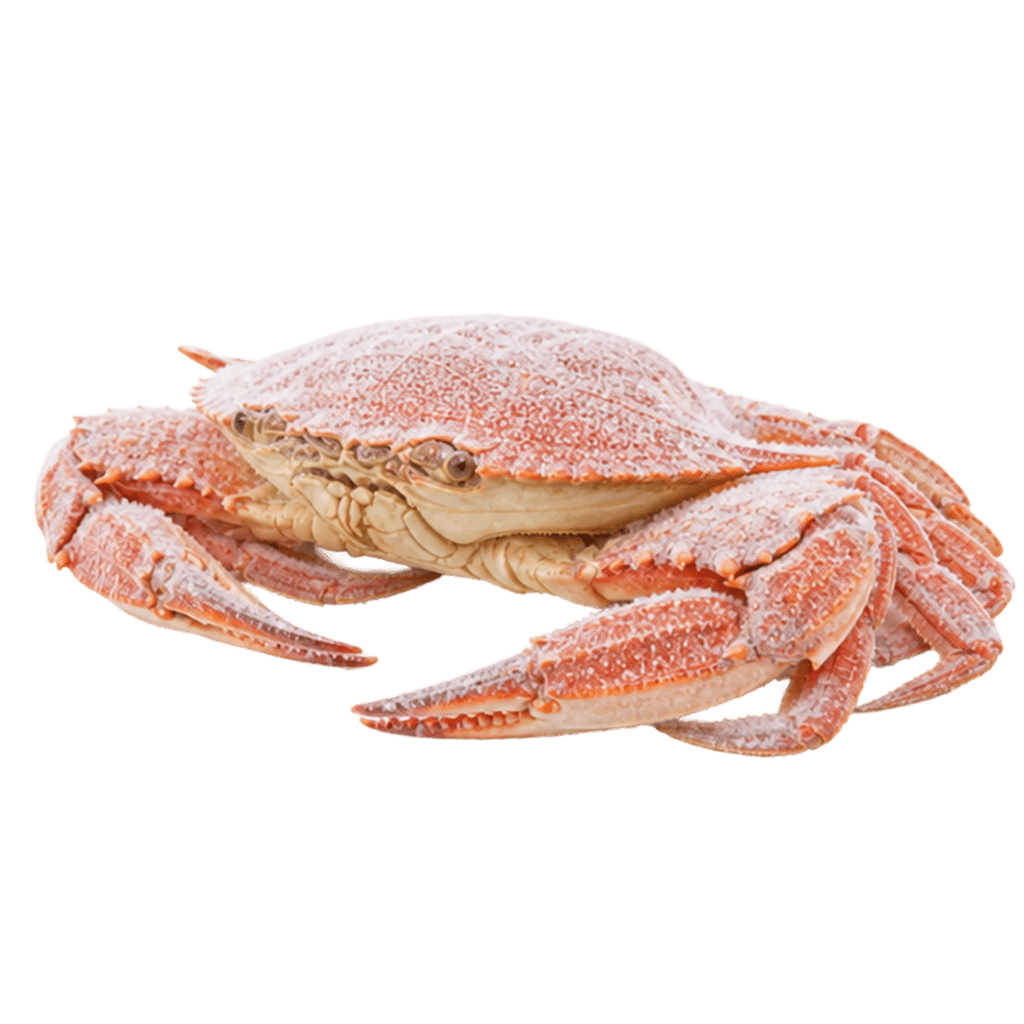 Краб синий варено-мороженый
