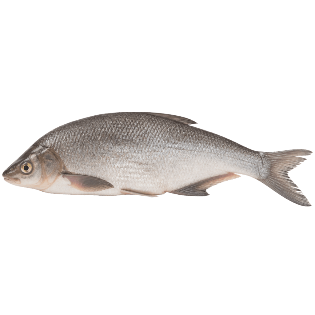 Лещ