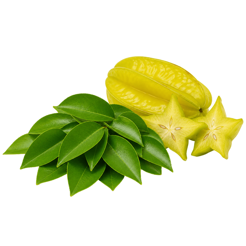 Листья карамболы