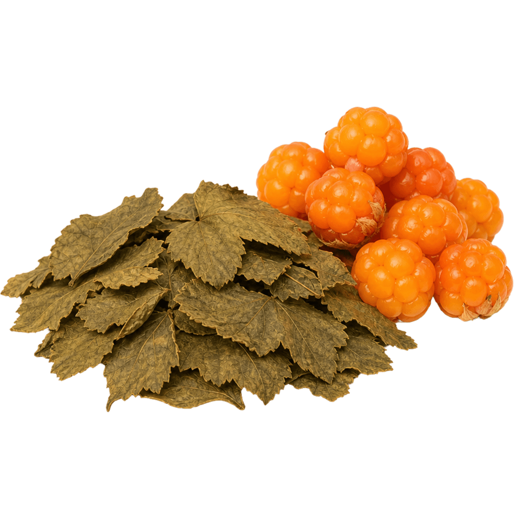 Листья морошки сушеные