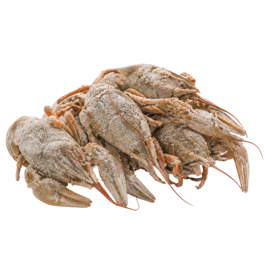 Раки замороженные