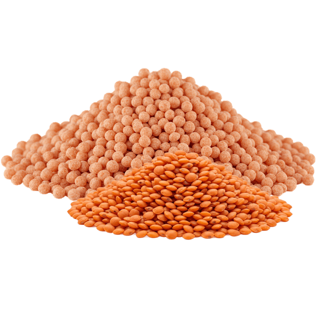 Фрегола из муки красной чечевицы