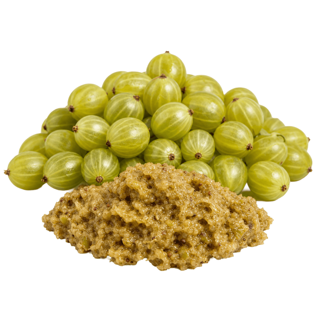 Жмых крыжовника