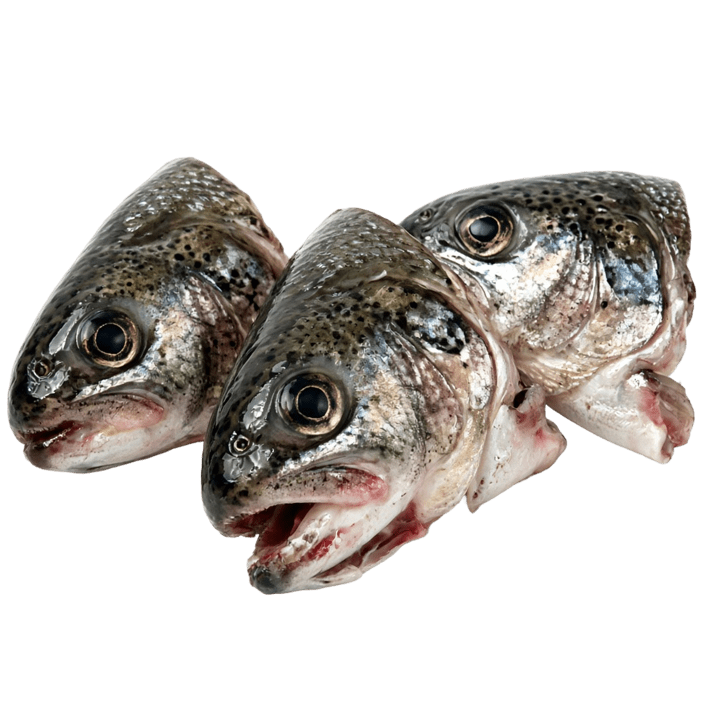 Головы хариуса