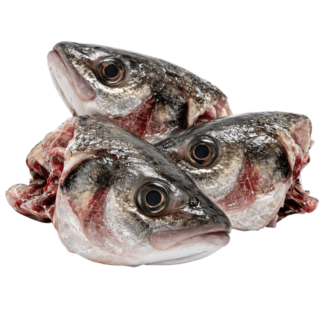 Головы пикши