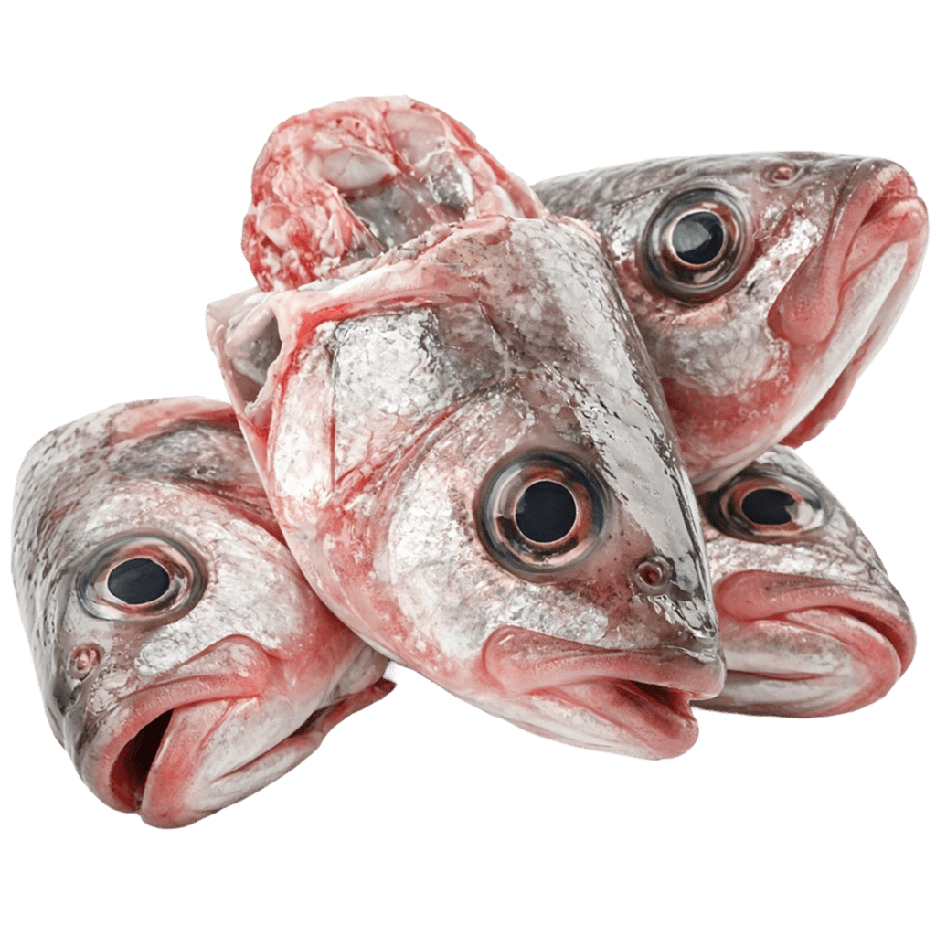 Головы хека