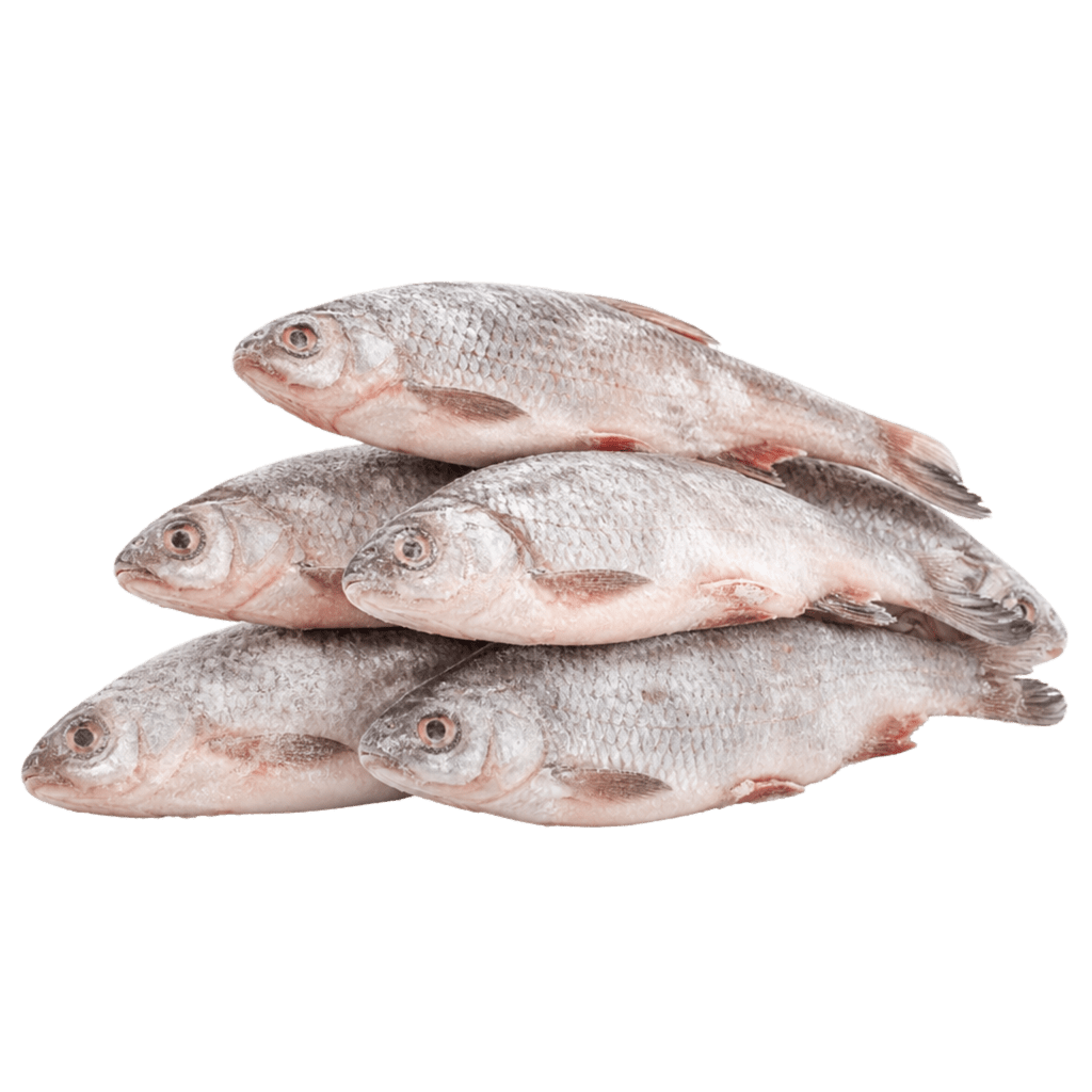 Язь замороженный