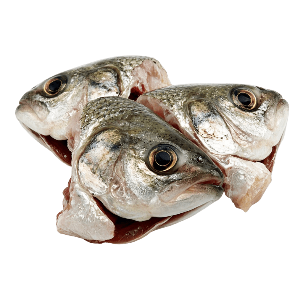 Головы язя