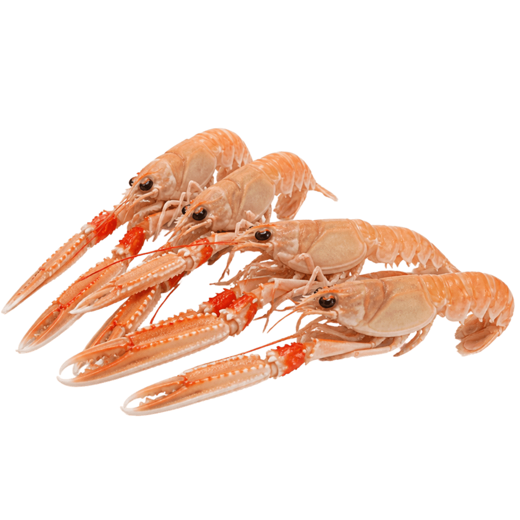 Лангусты