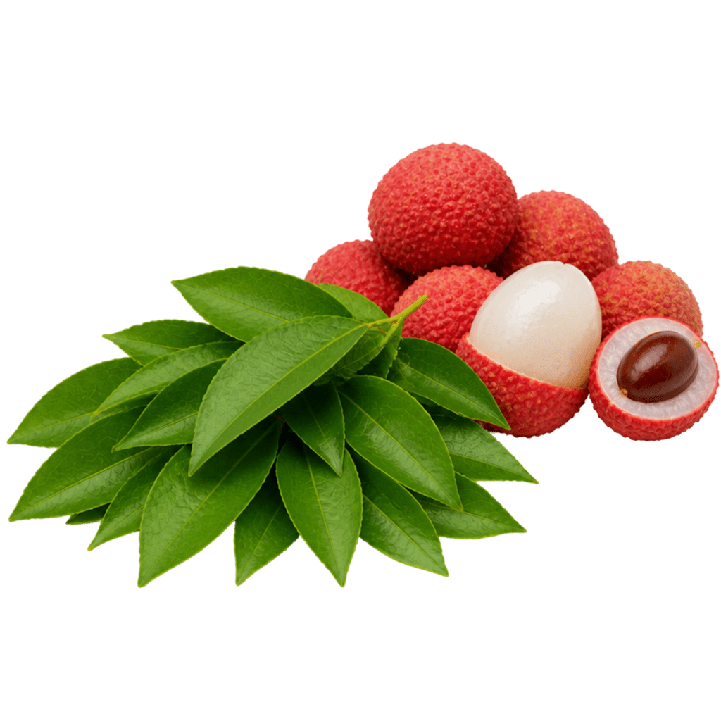 Листья личи