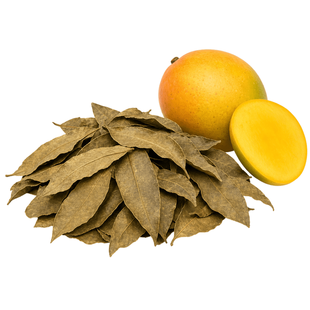 Листья манго сушеные