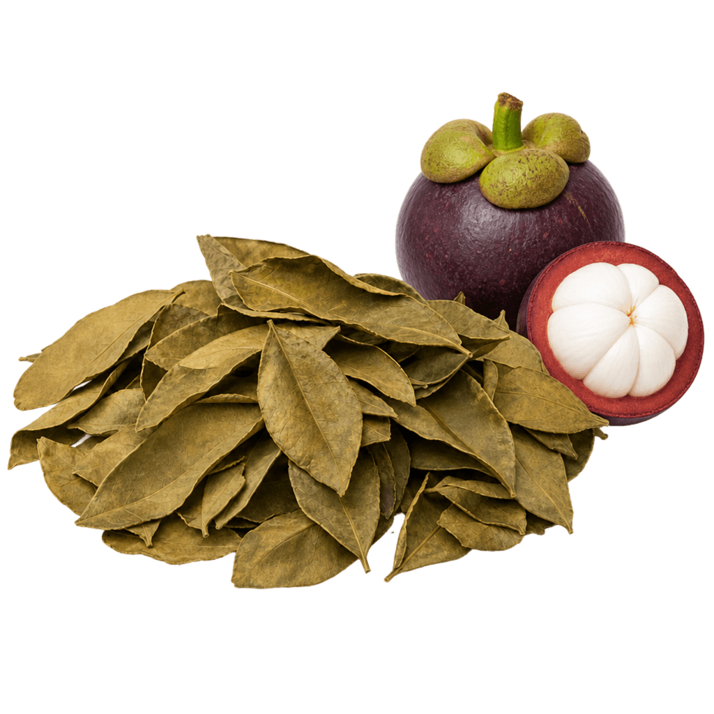 Листья мангустина сушеные