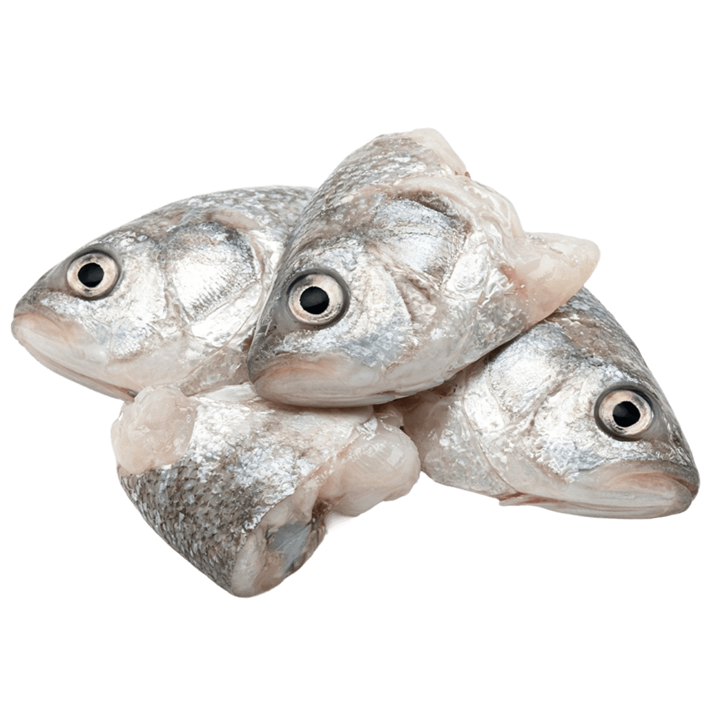 Головы муксуна