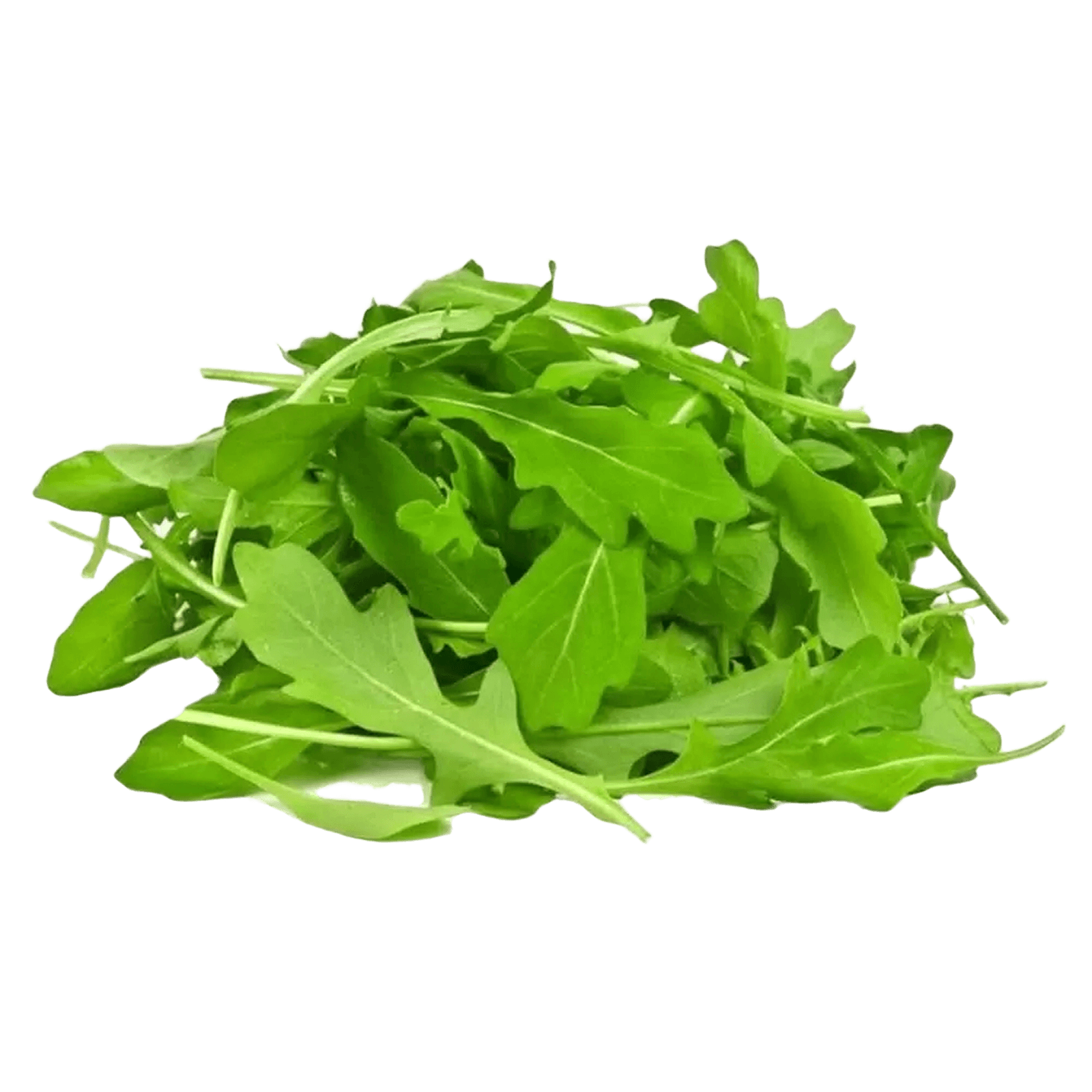 Руккола
