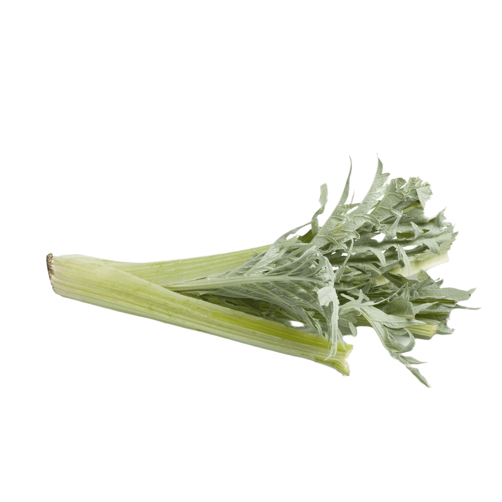 Кардун