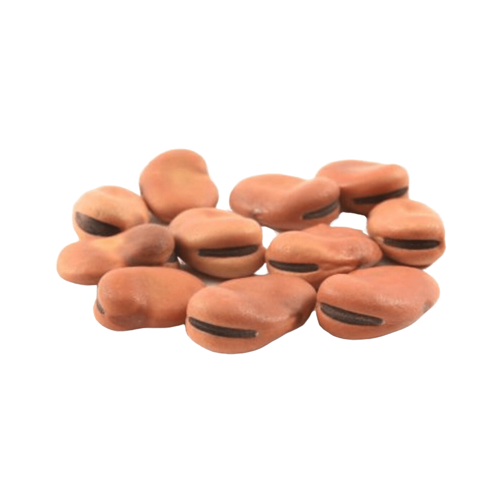 Конские бобы