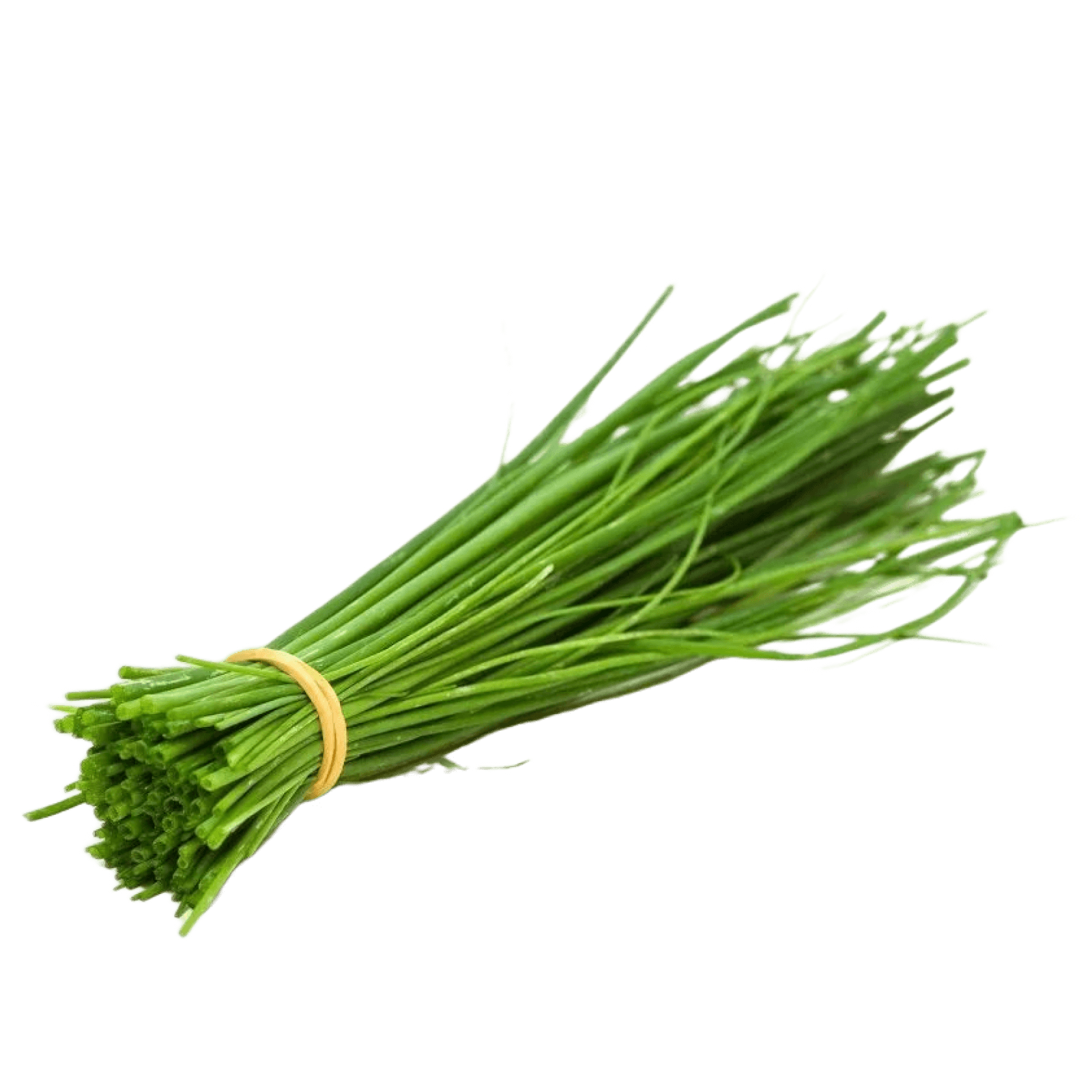 Лук джусай