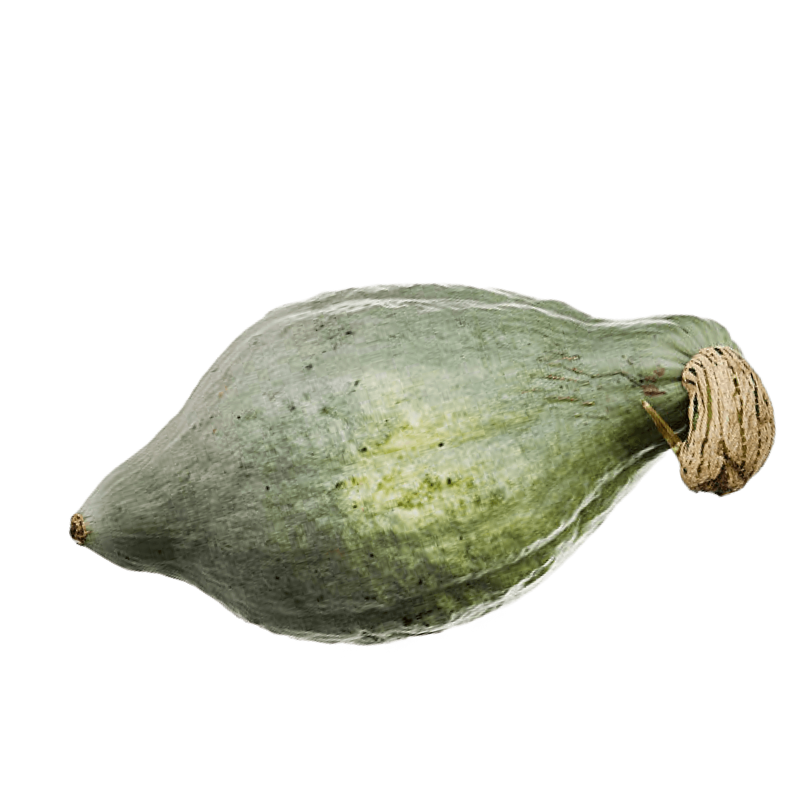 Кабачок Хаббард