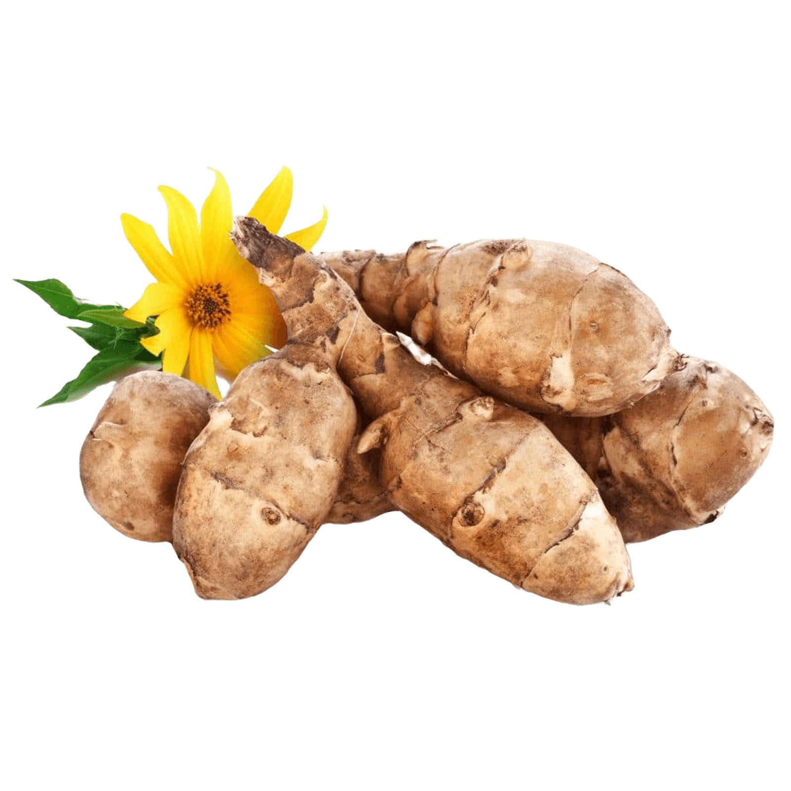 Топинамбур
