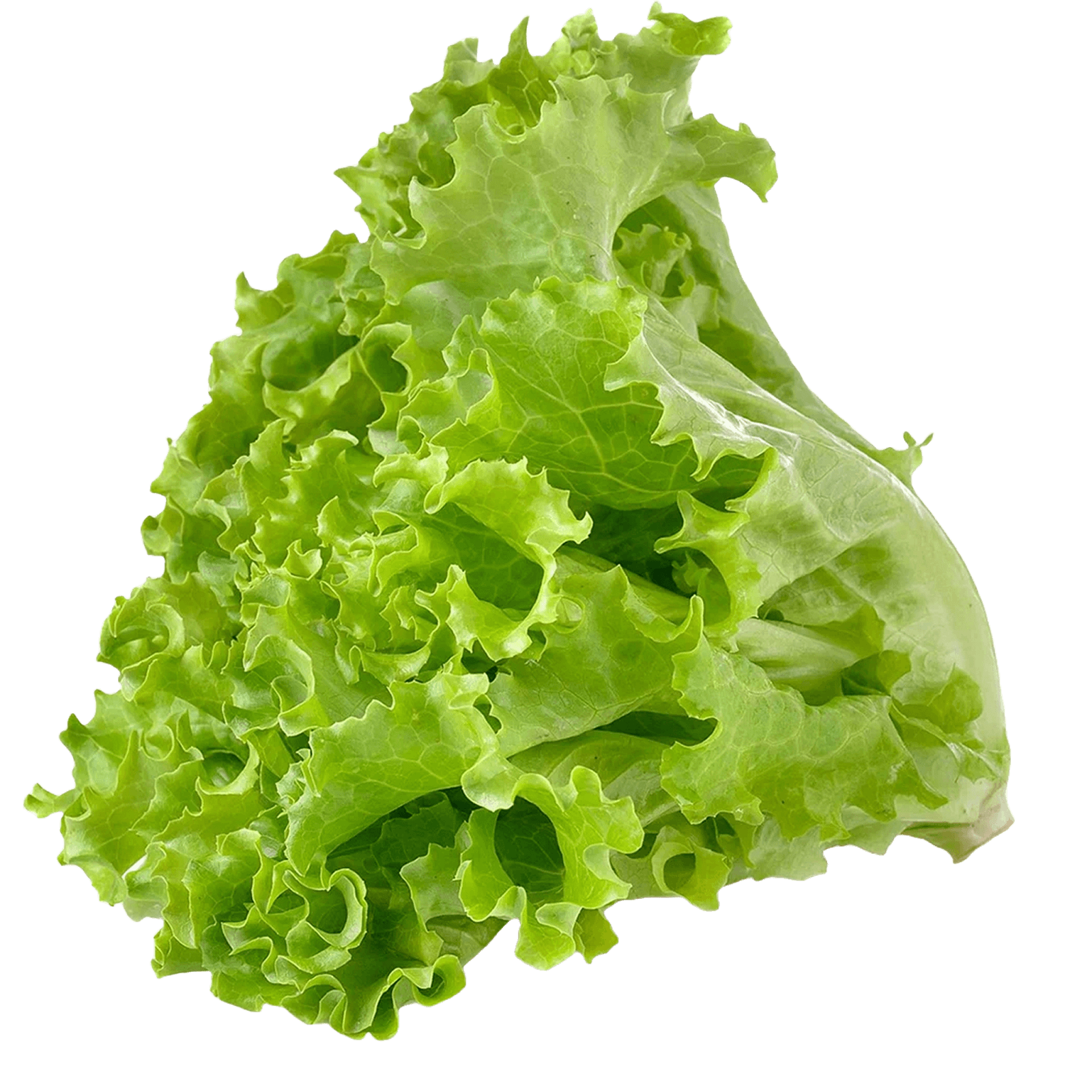 Салат Айсберг