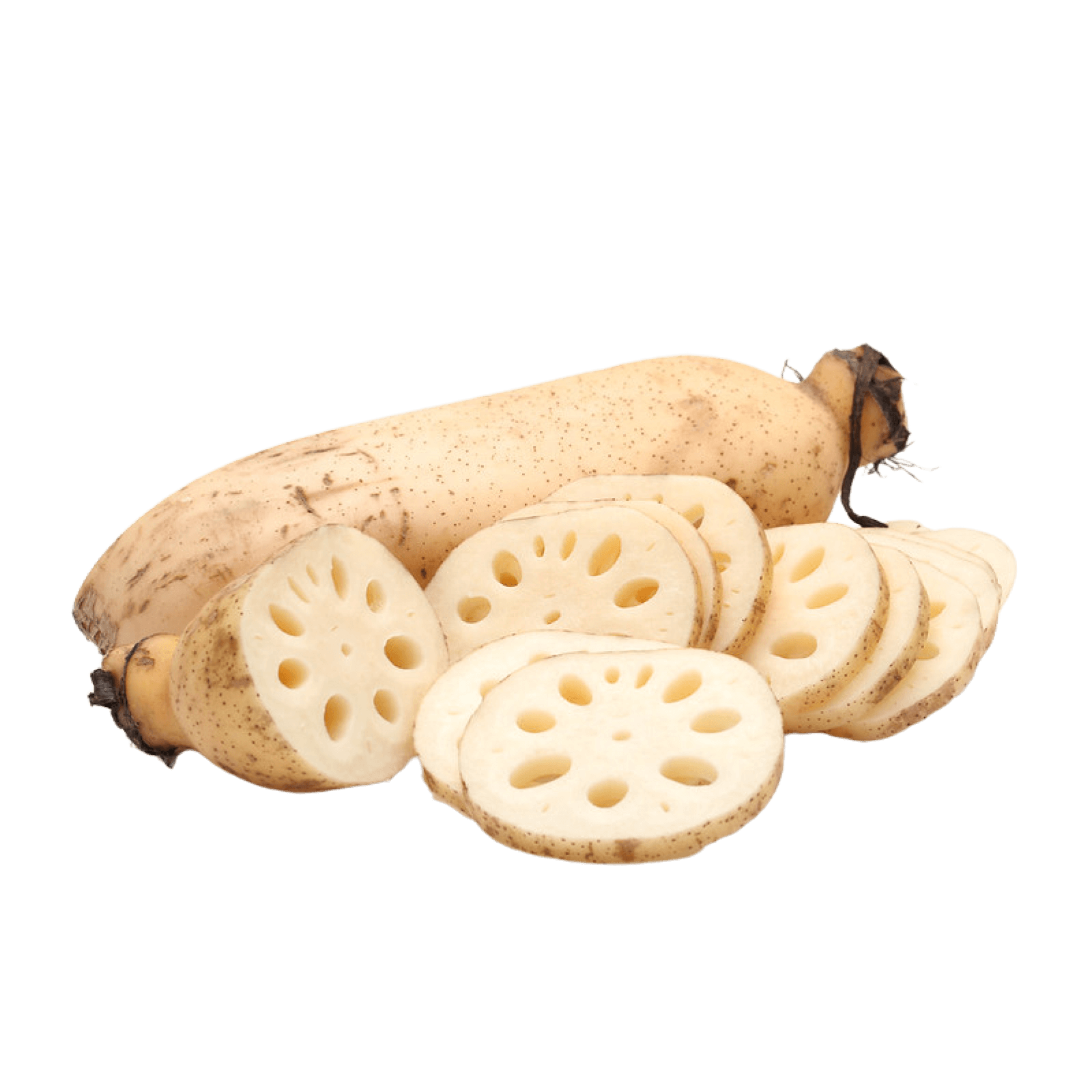 Корень лотоса