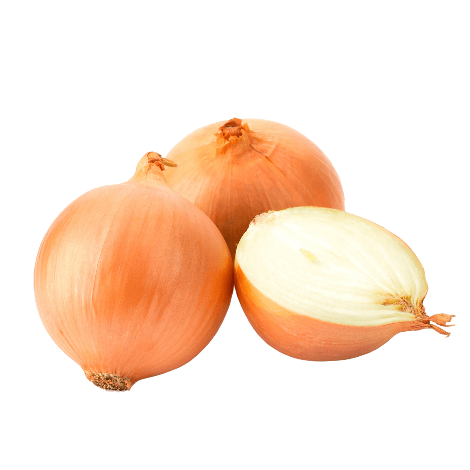 Лук репчатый