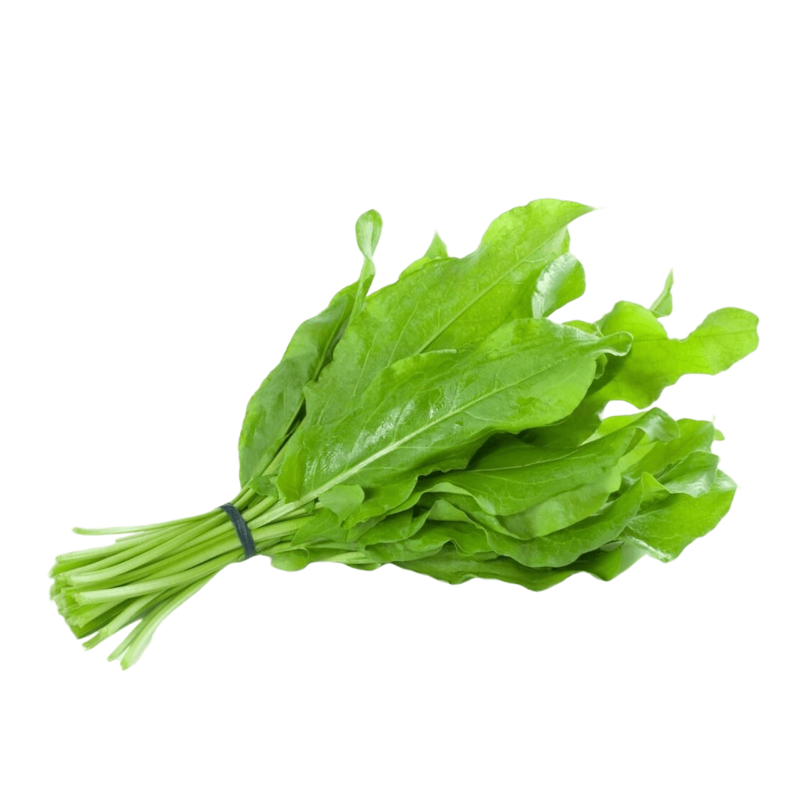 Щавель