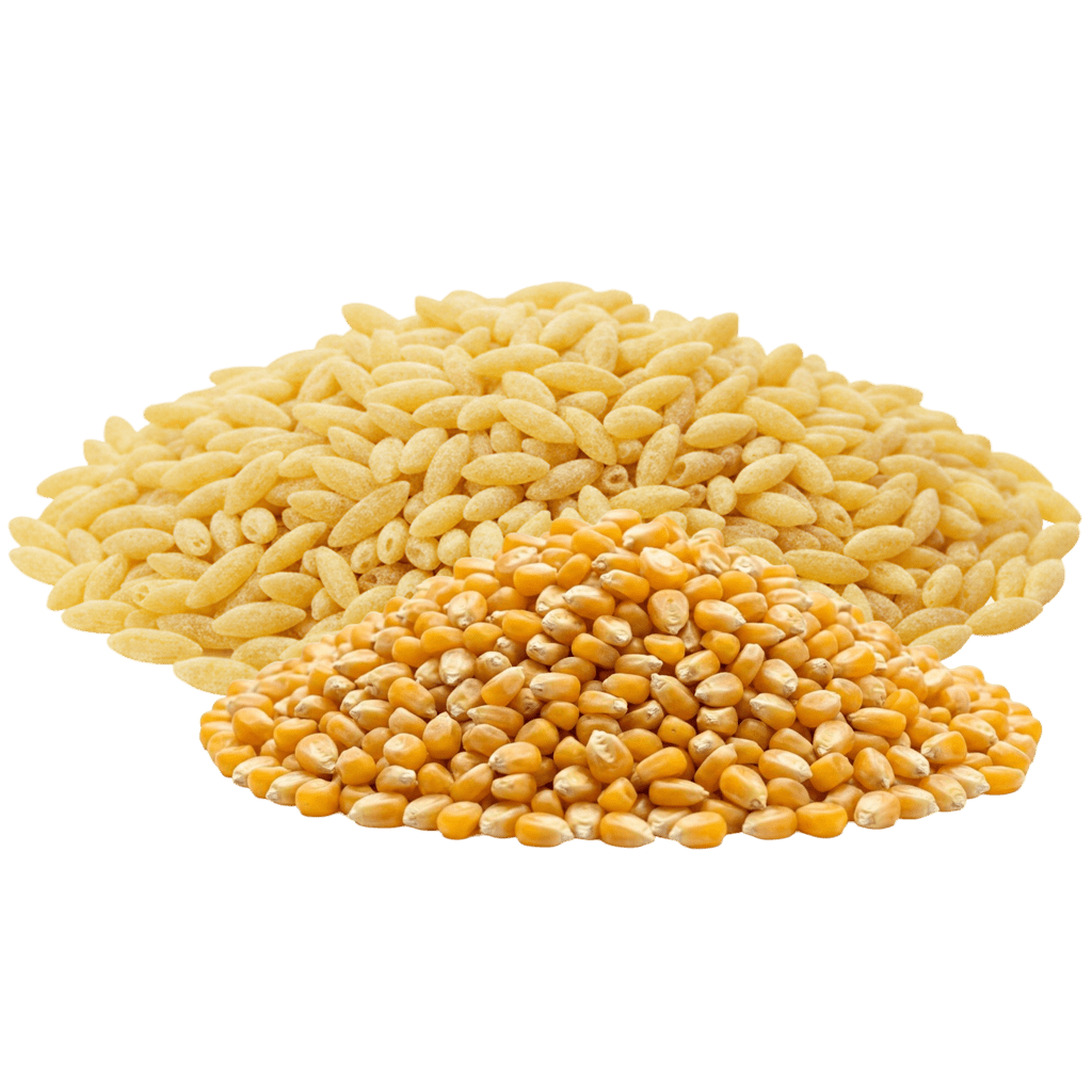 Орзо из кукурузной муки