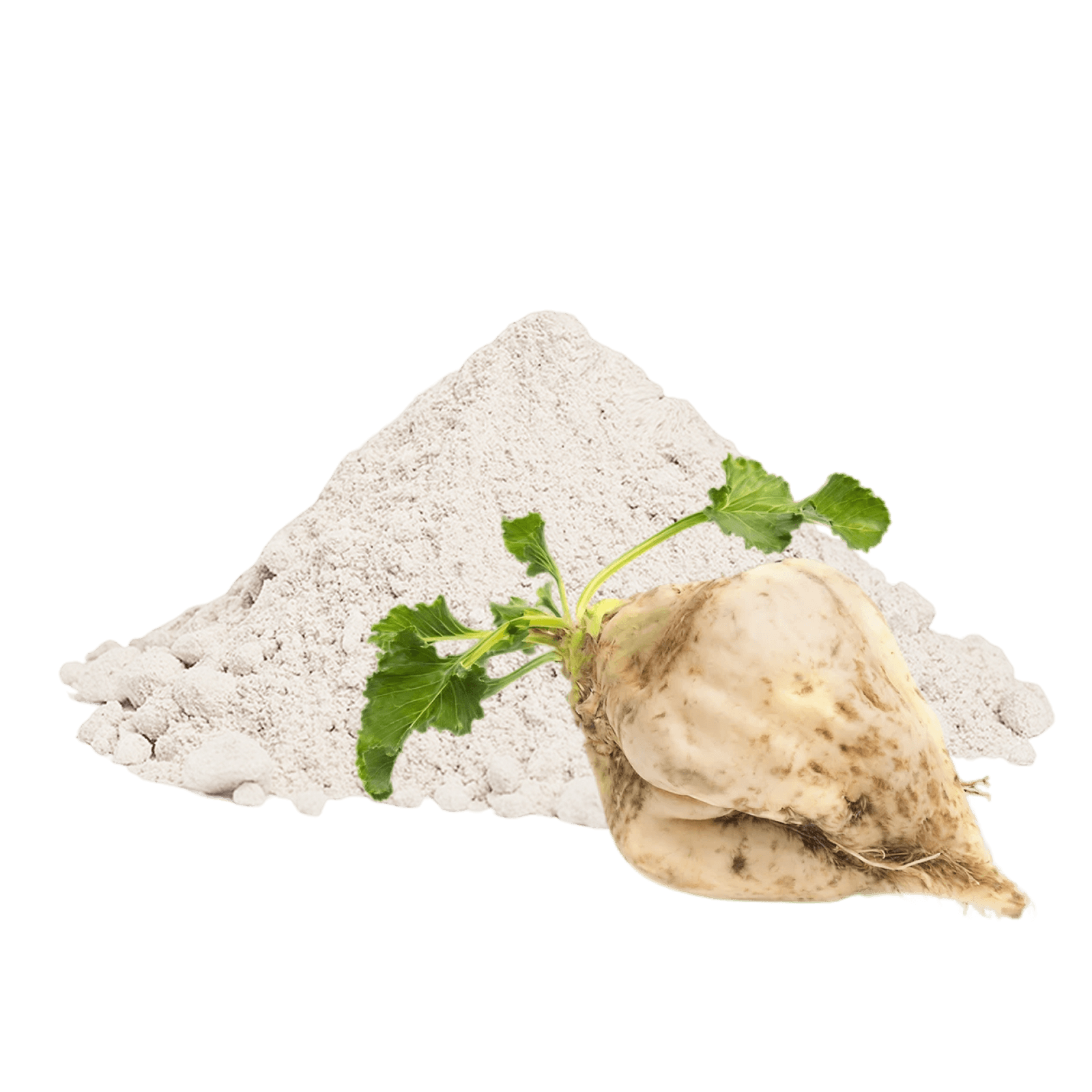 Порошок сахарной свеклы