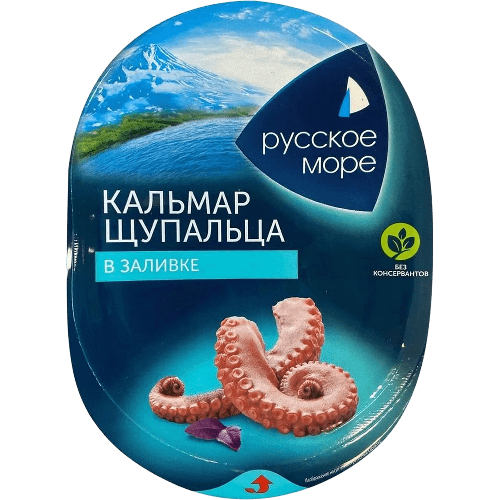 Щупальца кальмара в заливке Русское море