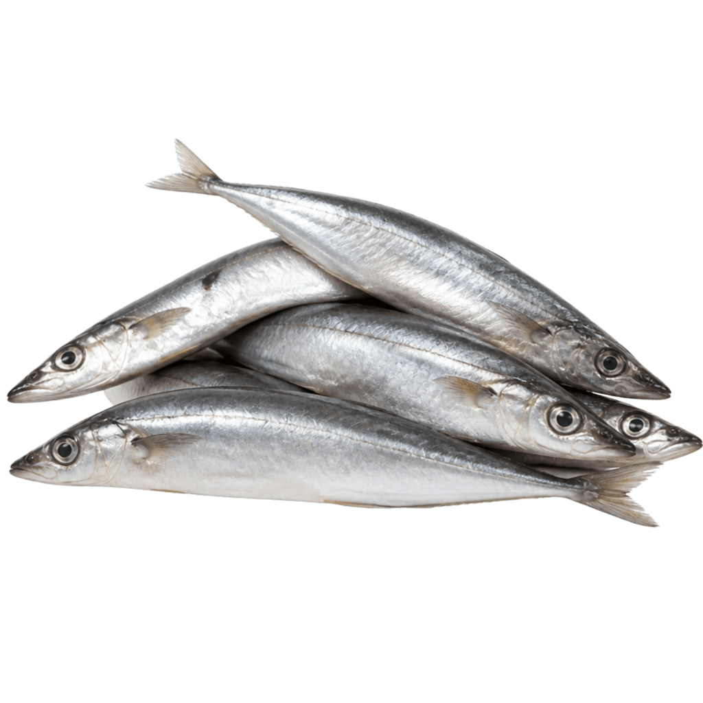 Сайра