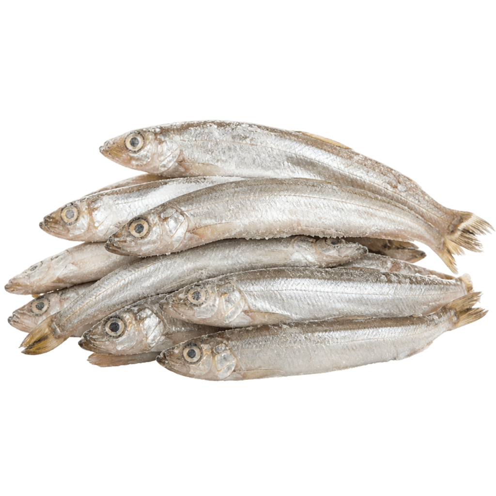 Корюшка замороженная