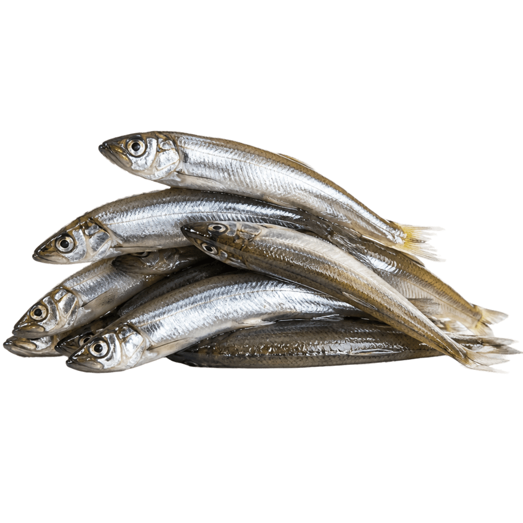 Корюшка слабосоленая