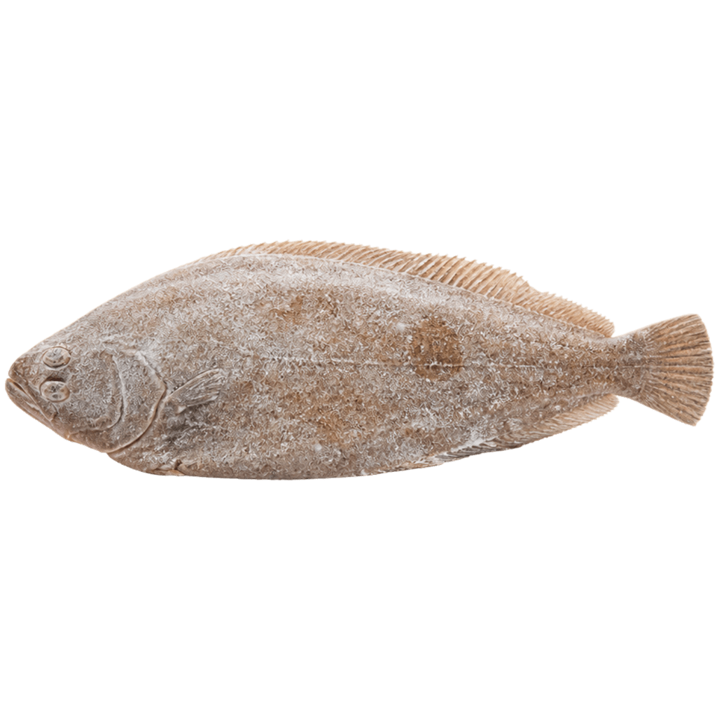 Морской язык замороженный