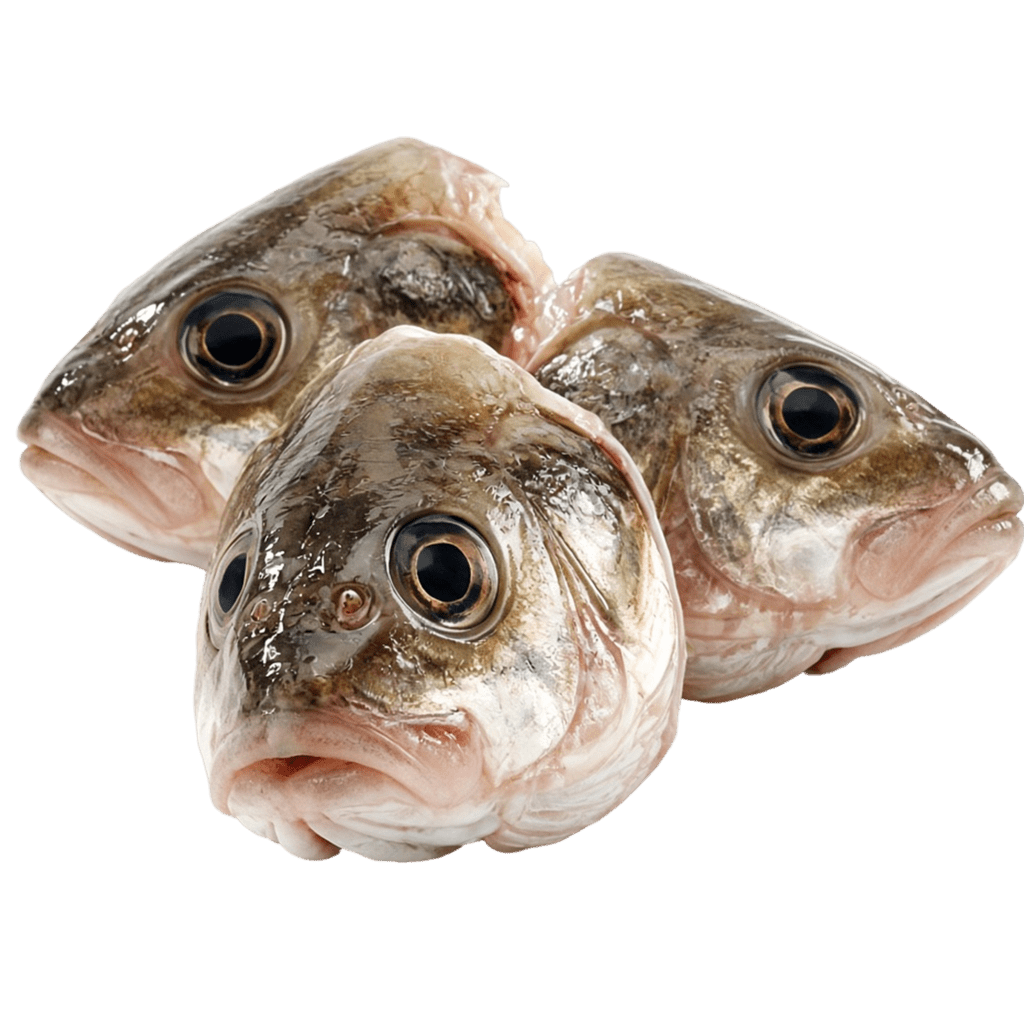 Головы морского языка