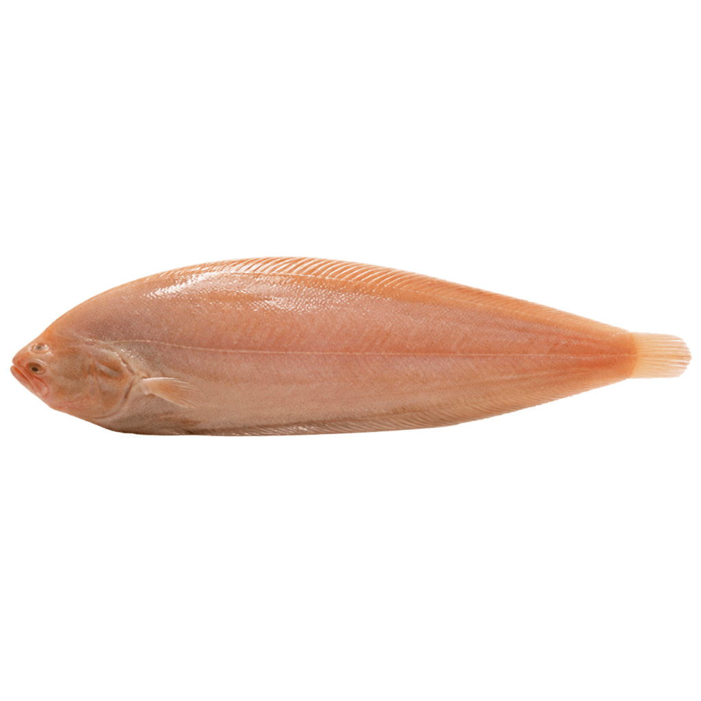 Морской язык слабосоленый