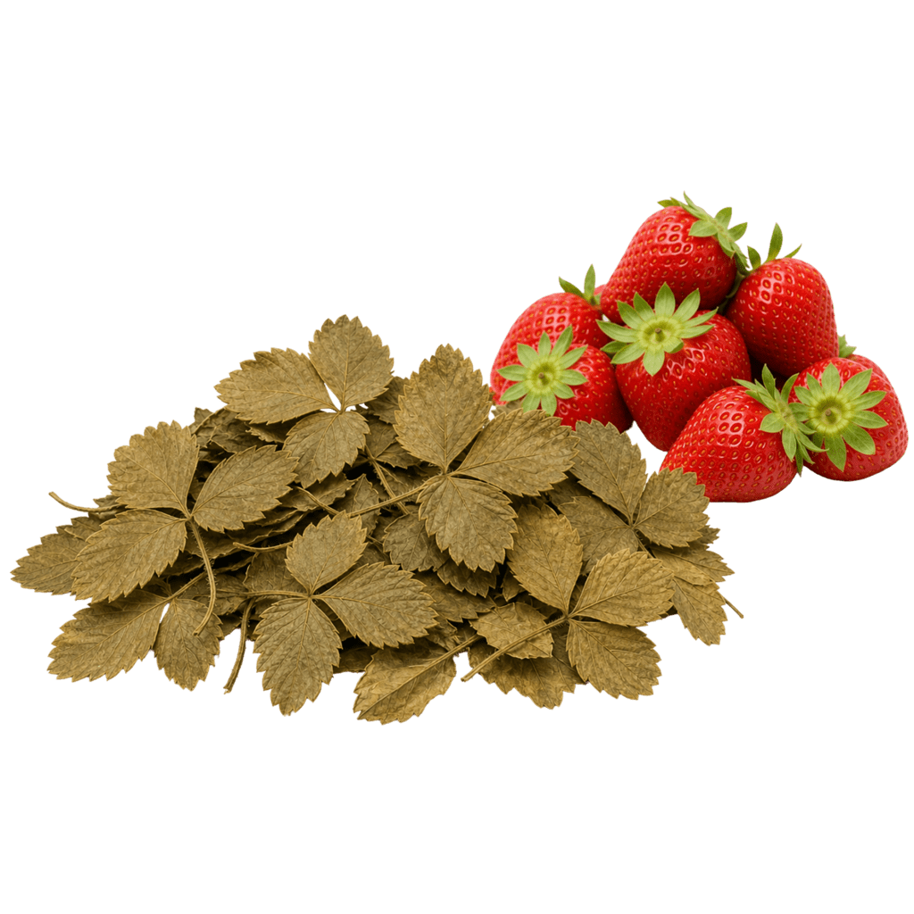 Листья клубники сушеные